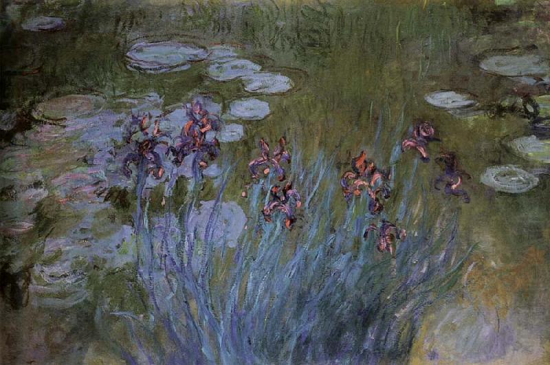 Irises and Water Lillies, Claude Monet